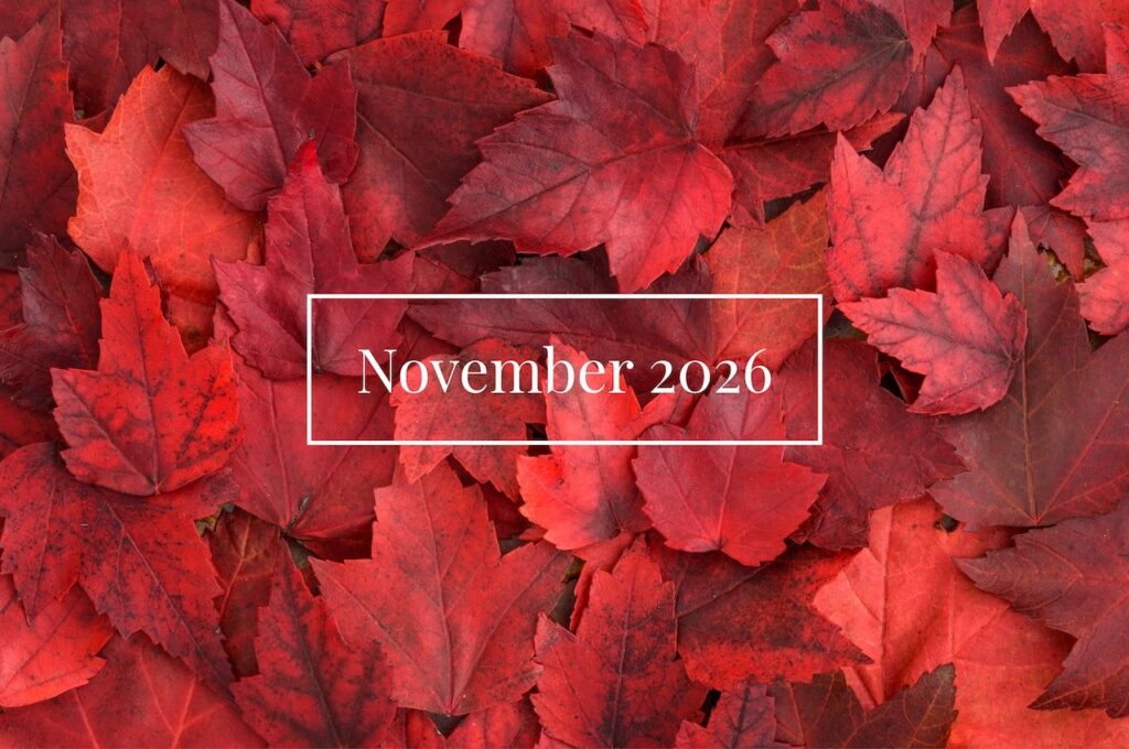 November 2026 November 2026